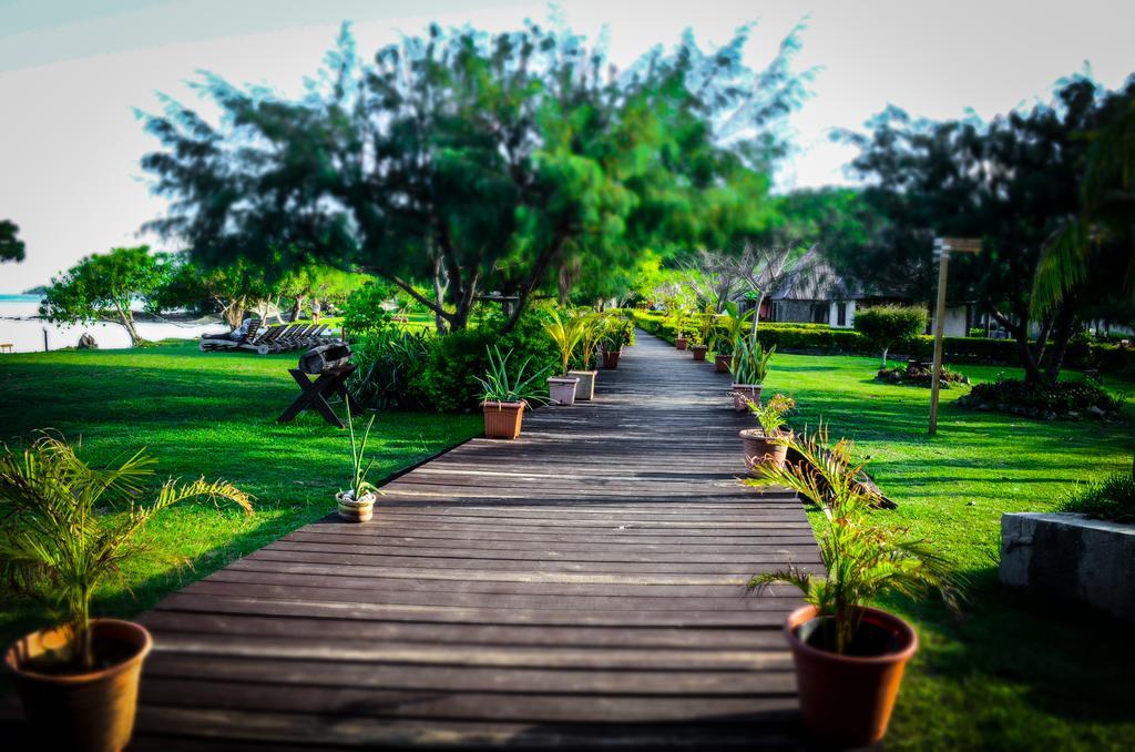Coralview Island Resort Tavewa Island Exteriör bild
